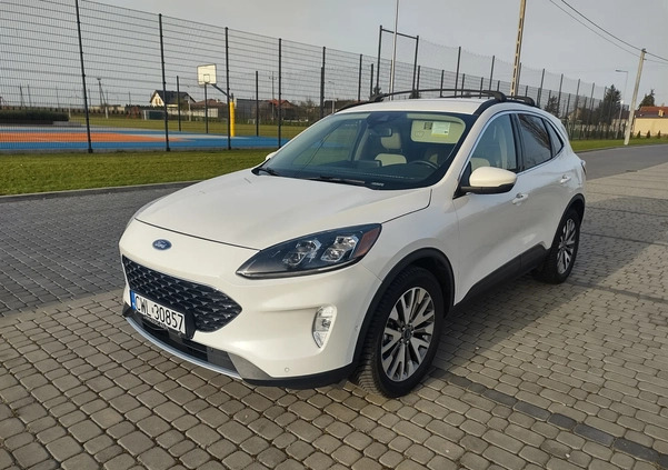 Ford Kuga cena 105000 przebieg: 105000, rok produkcji 2020 z Czeladź małe 667